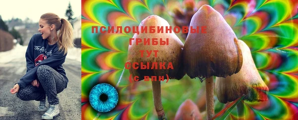 спайс Абаза